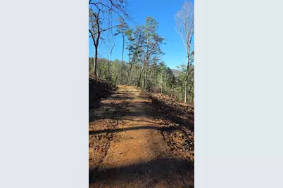 0 Dell Moore Road, Marble Hill, GA 30148 - Photo 6