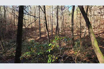 0 Dell Moore Road, Marble Hill, GA 30148 - Photo 4