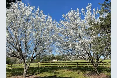 6214 Ga-140, Adairsville, GA 30103 - Photo 10