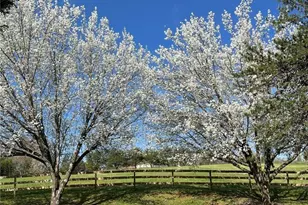 6214 GA-140, Adairsville, GA 30103 - Photo 10