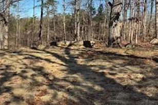 85 Waterloo Dr, Dahlonega, GA 30533 - Photo 6