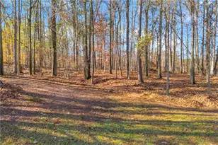 47 Chatham Ct, Jefferson, GA 30549 - Photo 10