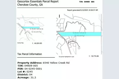 6540 Yellow Creek Road, Ball Ground, GA 30107 - Photo 4