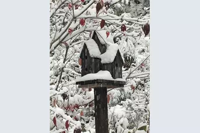 1252 Paris Mountain Road, Rockmart, GA 30153 - Photo 80