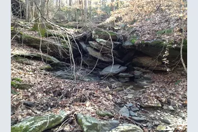 1252 Paris Mountain Road, Rockmart, GA 30153 - Photo 88