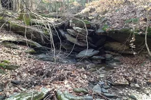 1252 Paris Mountain Rd, Rockmart, GA 30153 - Photo 88