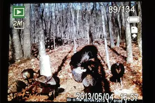 1252 Paris Mountain Rd, Rockmart, GA 30153 - Photo 92