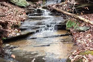 1252 Paris Mountain Rd, Rockmart, GA 30153 - Photo 82