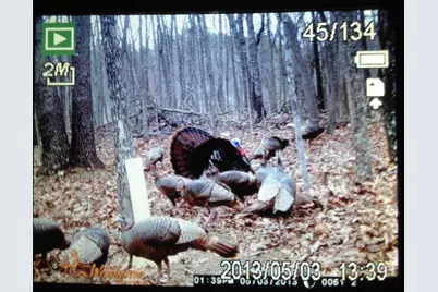 1252 Paris Mountain Road, Rockmart, GA 30153 - Photo 92