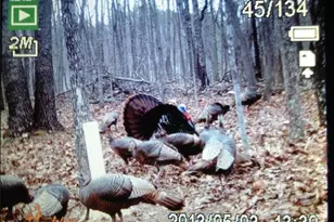 1252 Paris Mountain Rd, Rockmart, GA 30153 - Photo 92