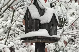 1252 Paris Mountain Rd, Rockmart, GA 30153 - Photo 78