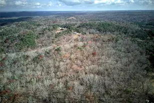 1252 Paris Mountain Rd, Rockmart, GA 30153 - Photo 74