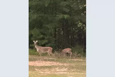 1252 Paris Mountain Road, Rockmart, GA 30153 - Photo 90