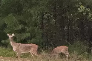 1252 Paris Mountain Rd, Rockmart, GA 30153 - Photo 90