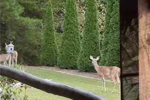 1252 Paris Mountain Rd, Rockmart, GA 30153 - Photo 90