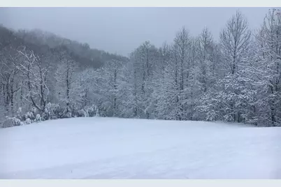 1252 Paris Mountain Road, Rockmart, GA 30153 - Photo 78