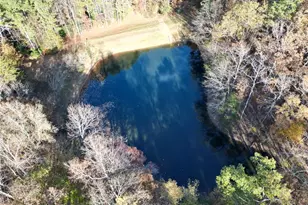 336 Tanglewood Dr, Canton, GA 30115 - Photo 54