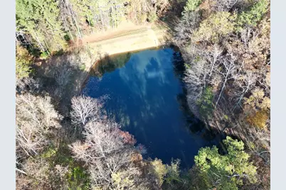 336 Tanglewood Drive, Canton, GA 30115 - Photo 60