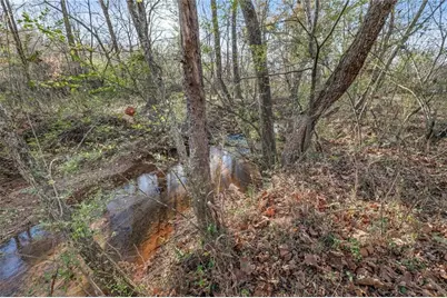 4239 Mangum Mill Road, Gainesville, GA 30507 - Photo 32