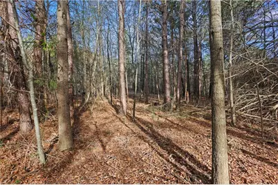 73 Paul Smith Road, Covington, GA 30014 - Photo 30