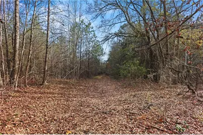 73 Paul Smith Road, Covington, GA 30014 - Photo 32