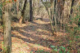 1785 Meadowdale Ave NE, Atlanta, GA 30306 - Photo 48