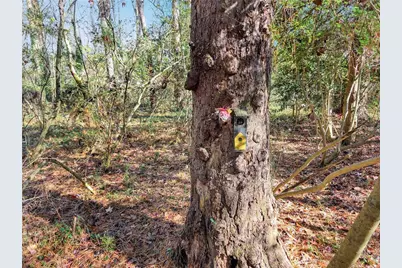 1785 Meadowdale Avenue NE, Atlanta, GA 30306 - Photo 50