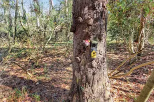 1785 Meadowdale Ave NE, Atlanta, GA 30306 - Photo 50