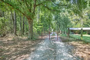 4107 Rosebud Rd, Loganville, GA 30052 - Photo 44