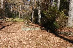 809 Laurel St, Bremen, GA 30110 - Photo 32