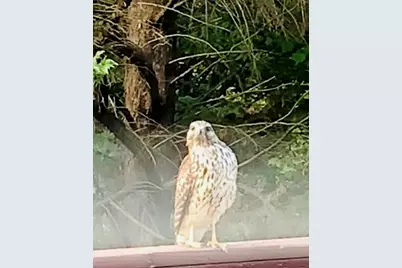 4141 Riverview Run Court, Suwanee, GA 30024 - Photo 42