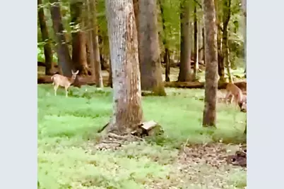 4141 Riverview Run Court, Suwanee, GA 30024 - Photo 44