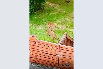 4141 Riverview Run Court, Suwanee, GA 30024 - Photo 46