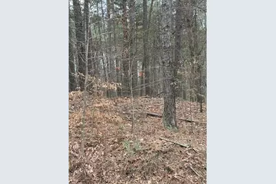 0 Cole Lake Road, Dallas, GA 30157 - Photo 2