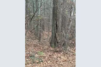 0 Cole Lake Road, Dallas, GA 30157 - Photo 8