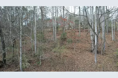 0000 Blackburn Tract 3A Road, Dawsonville, GA 30534 - Photo 24