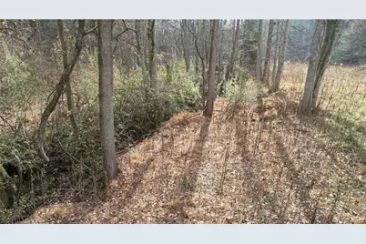 0000 Blackburn Tract 3A Road, Dawsonville, GA 30534 - Photo 8
