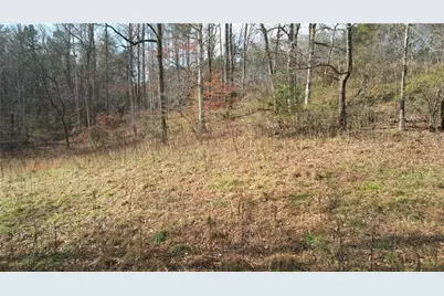 0000 Blackburn Tract 3A Road, Dawsonville, GA 30534 - Photo 12