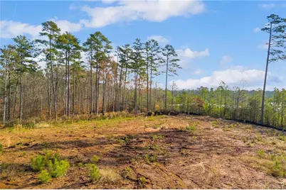 204 Line Street, Buford, GA 30518 - Photo 18