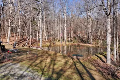 147 Twin Peaks Drive, Demorest, GA 30535 - Photo 76