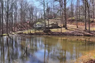 147 Twin Peaks Dr, Demorest, GA 30535 - Photo 82