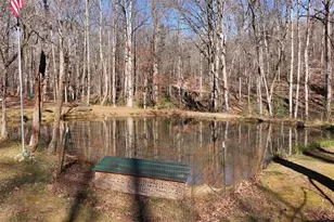 147 Twin Peaks Dr, Demorest, GA 30535 - Photo 88