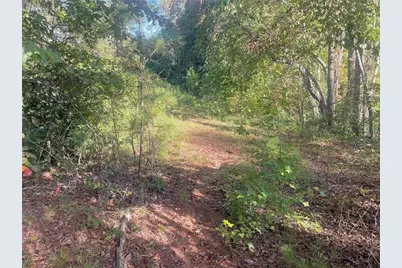 115 Haven Brook Way, Douglasville, GA 30134 - Photo 44