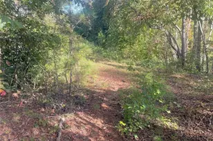 115 Haven Brook Way, Douglasville, GA 30134 - Photo 44