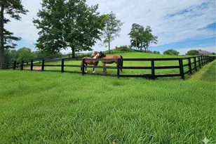 200 McClure Dr, Cumming, GA 30028 - Photo 4