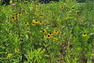 200 McClure Dr, Cumming, GA 30028 - Photo 58