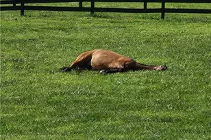 200 McClure Dr, Cumming, GA 30028 - Photo 40