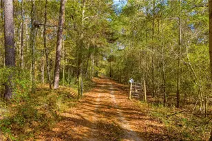 146 Moody Farm Rd, Newnan, GA 30263 - Photo 62