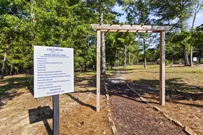 321 Bear Way, Hoschton, GA 30548 - Photo 80