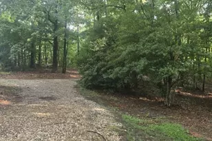 585 Lee Dr, Acworth, GA 30102 - Photo 32
